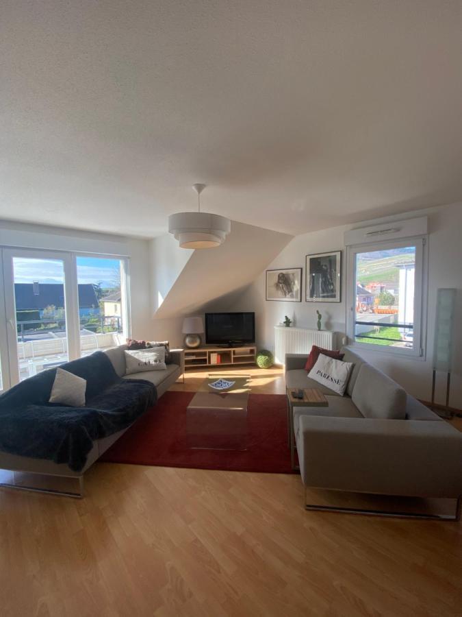 Ferienwohnung A2 Pas De Colmar Terrasse,Parking Wintzenheim Exterior foto